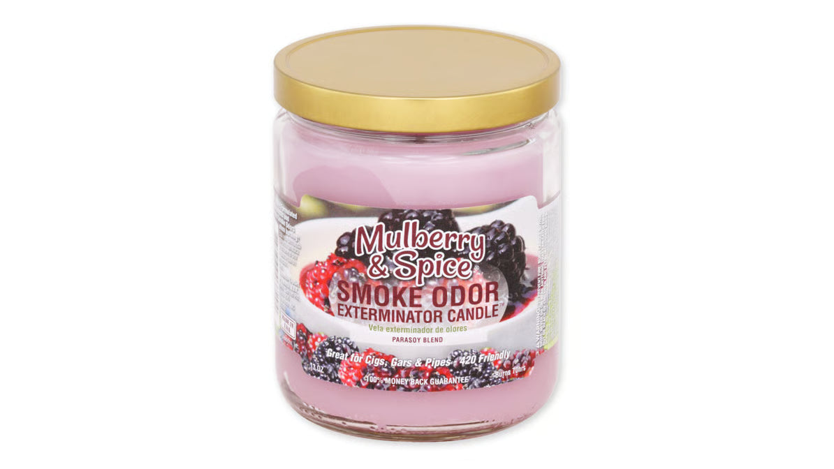Smoke Odor Candle - Mulberry & Spice