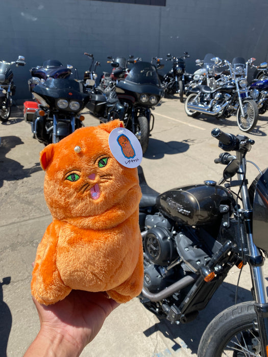 Lazer cat Plush Toy
