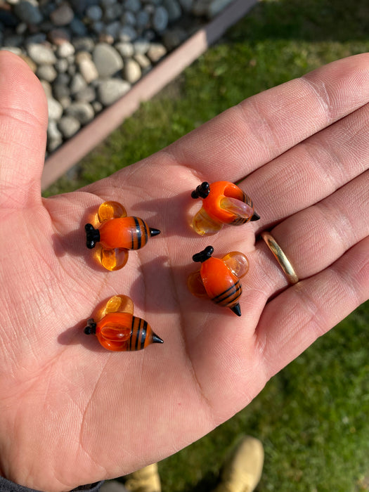 Joe Peters: Orange Beeed Single