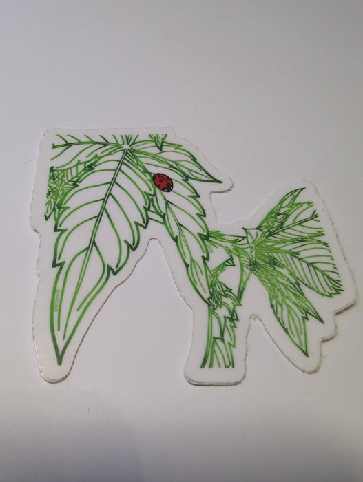 Local Artist- DB- Lady Bug Weed Leaf